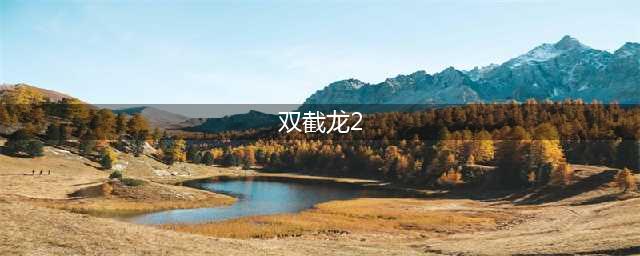 双截龙2出招表都有哪些 具体介绍