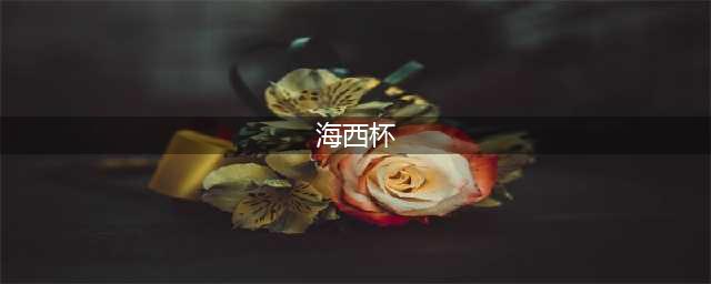 2024第十二届海西杯全国青少年足球邀请赛暨第一届西海岸杯国际青少年足球精英赛开幕(海西杯)