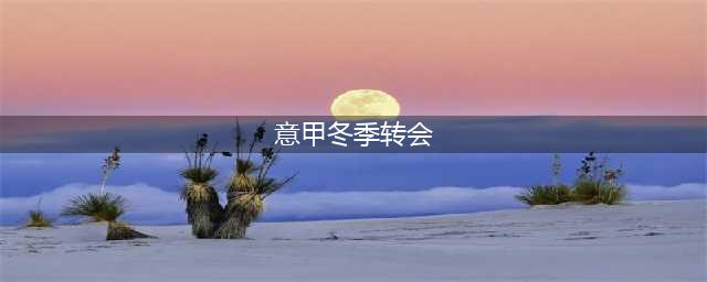 意甲冬季转会一览及简评(意甲冬季转会)