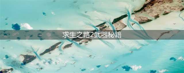 求生之路2秘籍怎么开不了 求生之路2秘籍代码大全(求生之路2武器秘籍)