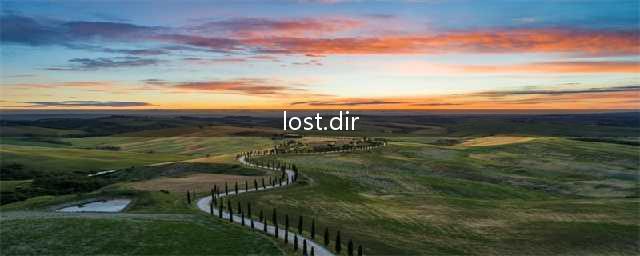 SD卡里的LOST.DIR是什么？可以删除吗？怎么恢复？(lost.dir)