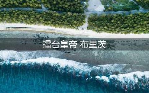 《英雄联盟》手游蒸汽机器人资料大全 布里茨英雄攻略(擂台皇帝 布里茨)