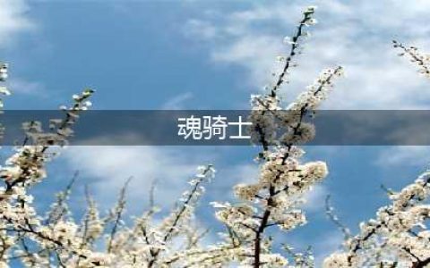 黑暗之魂3魂骑士加点方法 黑暗之魂3魂骑士怎么加点(魂骑士)