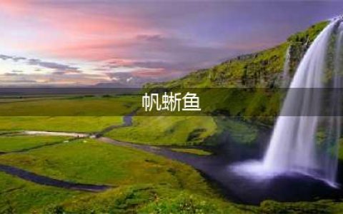 FF14中长吻帆蜥鱼需要如何才能触发鱼识钓到(帆蜥鱼)