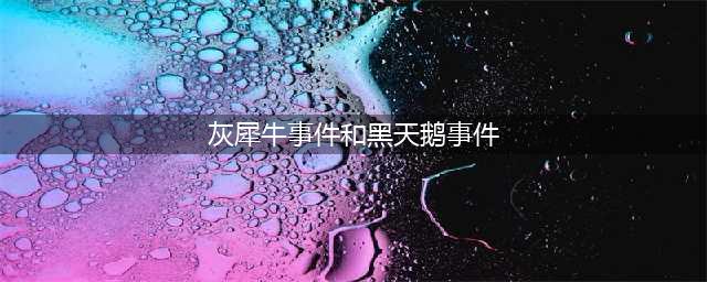 黑天鹅事件VS灰犀牛事件(灰犀牛事件和黑天鹅事件)