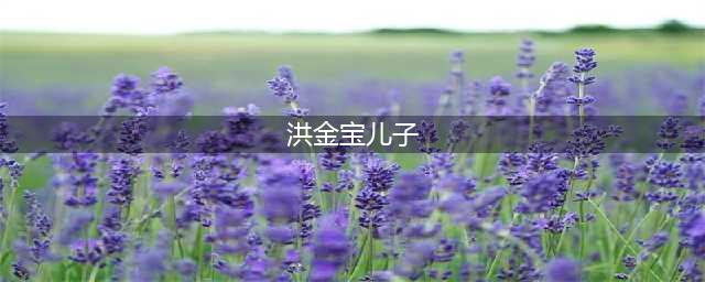 66岁洪金宝三个儿子近照曝光，个个帅气有为，长相几乎一模一样(洪金宝儿子)
