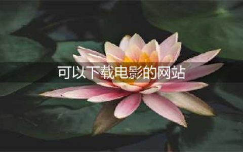推荐4个不为人知的良心免费下载电影网站（无套路真免费）(可以下载电影的网站)