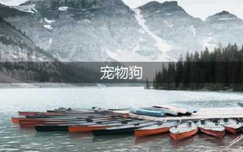 常见宠物狗大全：品种，简介，价格(宠物狗)