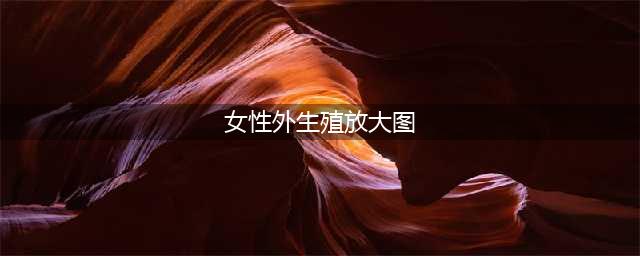 揭秘女性外生殖器的真实模样！高清镜头记录下整个过程，别错过！(女性外生殖放大图)