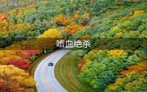《DNF》特工刷图怎么加点 3月7日改版后特工刷图加点推荐(嗜血绝杀)