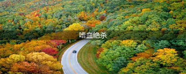 《DNF》特工刷图怎么加点 3月7日改版后特工刷图加点推荐(嗜血绝杀)