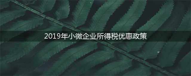 小微企业所得税优惠政策（2019最新）(2019年小微企业所得税优惠政策)