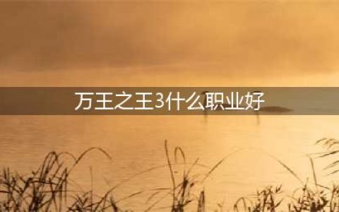 《万王之王3D》圣骑士三个觉醒职业优缺点全分析(万王之王3什么职业好)