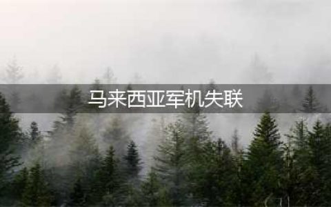 事件追踪-马来西亚军机失联事件全程回放(马来西亚军机失联)
