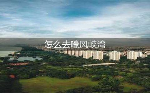 《魔兽世界》嚎风峡湾怎么去 嚎风峡湾前往方法(怎么去嚎风峡湾)