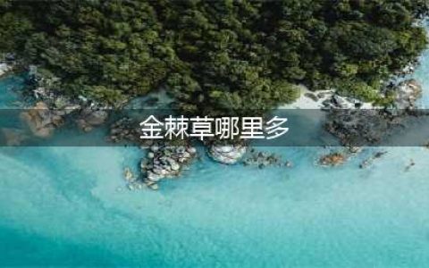《魔兽世界》金棘草哪里比较多 金棘草位置分享(金棘草哪里多)