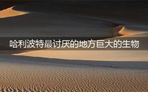 在哈利波特最讨厌的地方巨大的生物碎片位置在哪 最讨厌的地方巨大的npc位置(哈利波特最讨厌的地方巨大的生物)