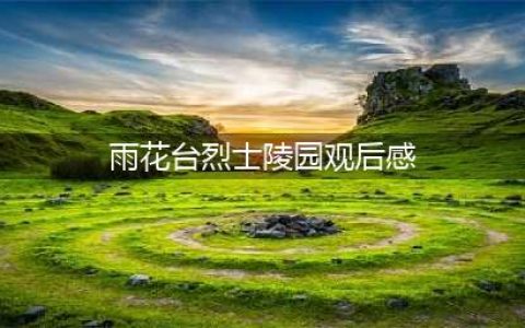 参观雨花台烈士陵园有感(雨花台烈士陵园观后感)