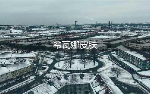 《LOL》破败军团希瓦娜炫彩皮肤怎么样 炫彩皮肤一览(希瓦娜皮肤)