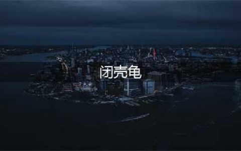 常见的七种闭壳龟，您都了解么？(闭壳龟)