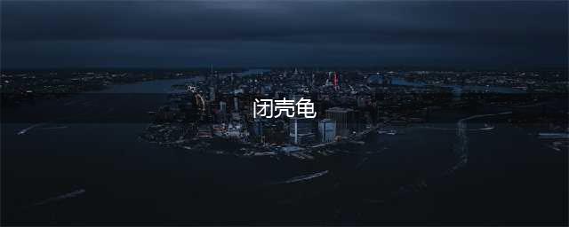常见的七种闭壳龟，您都了解么？(闭壳龟)