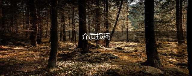 什么是介质损耗(介质损耗)