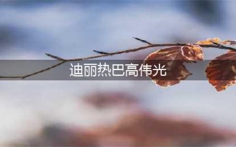迪丽热巴和她的六任“男友”(迪丽热巴高伟光)
