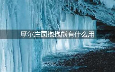 摩尔庄园手游抱抱熊作用是什么 抱抱熊功能用途介绍