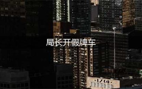 局长也开假牌车？这事应该怎么看？(局长开假牌车)