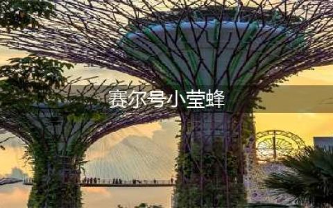 《赛尔号》小莹蜂怎么捕捉 小莹蜂捕捉方法分享(赛尔号小莹蜂)