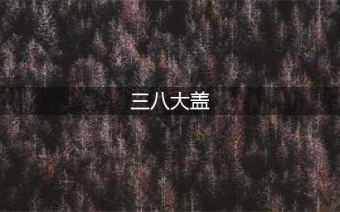 三八大盖的寿命是8千发子弹，为何说它寿命可能连6分钟都不到？(三八大盖)