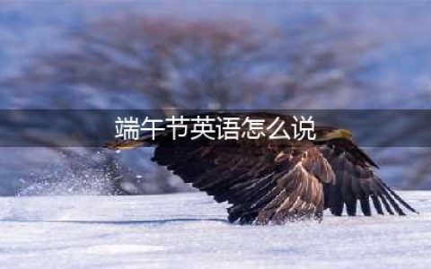 【双语说节日】如何向老外介绍端午节？(端午节英语怎么说)