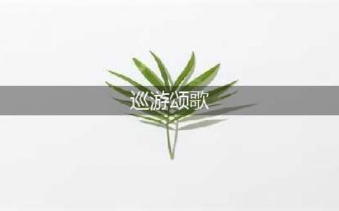 剑与远征2022巡游颂歌奇境探险怎么过 巡游颂歌奇境探险线路分享