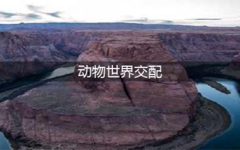 谁说动物不乱伦？盘点动物乱伦交配(组图)(动物世界交配)