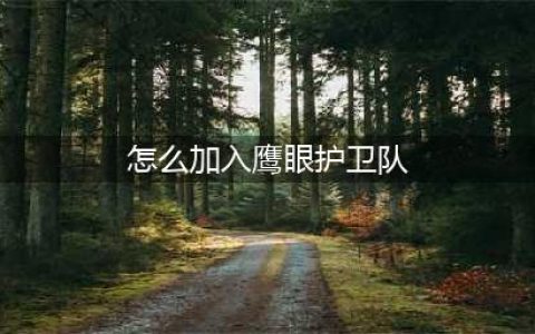 《王者荣耀》鹰眼护卫队加入教程 鹰眼护卫队怎么加入