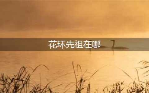 光遇花环头饰先祖位置在哪 2022花环头饰先祖复刻坐标位置分享