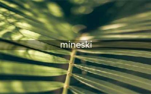 《DOTA2》TI8 Mineski 战队介绍(mineski)