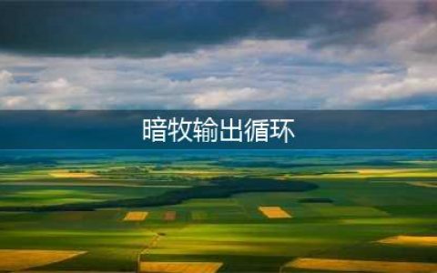 《魔兽世界怀旧服》暗牧输出手法是什么 暗牧输出手法介绍(暗牧输出循环)