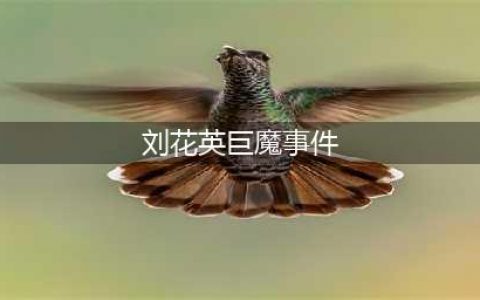 tara巨魔事件真相大白 新成员刘花英自导自演毁了整个组合(刘花英巨魔事件)