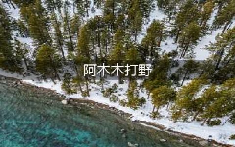 《英雄联盟》S11阿木木打野路线如何选择 阿木木打野攻略(阿木木打野)