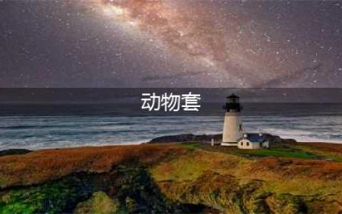 《DNF》动物套外观怎么样 全职业动物套外观一览(动物套)