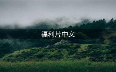 最好看的中文字幕高清电影推荐！在家免费观看的10部国语电影+电影网站福利(福利片中文)