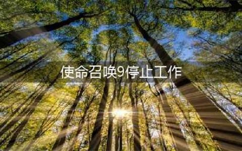 《使命召唤战区》游戏停止工作怎么办 停止工作异常问题解决方法(使命召唤9停止工作)