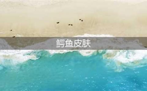 lol鳄鱼皮肤哪个手感好 鳄鱼皮肤手感排名
