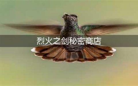 火焰纹章烈火之剑隐藏商店如何进入(烈火之剑秘密商店)
