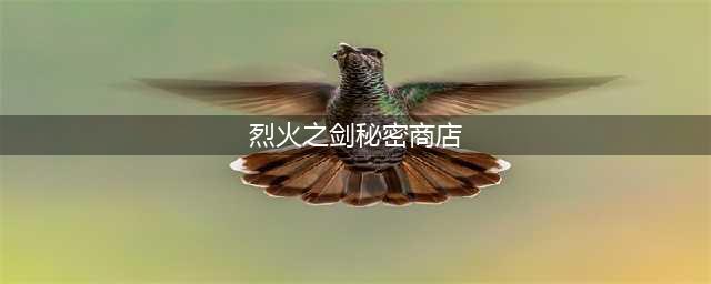 火焰纹章烈火之剑隐藏商店如何进入(烈火之剑秘密商店)