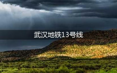 牛掰！武汉地铁13号线计划纳入第五轮建设！最高时速160公里(武汉地铁13号线)