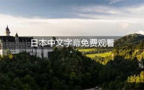 五款高品质中文字幕电影网站推荐(日本中文字幕免费观看)
