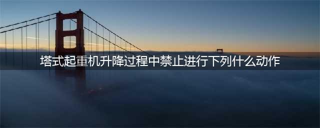 四川建筑施工企业安管人员(三类人员)考试题库(塔式起重机升降过程中禁止进行下列什么动作)