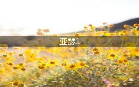 《王者荣耀》亚瑟一技能是什么 亚瑟一技能介绍(亚瑟1)